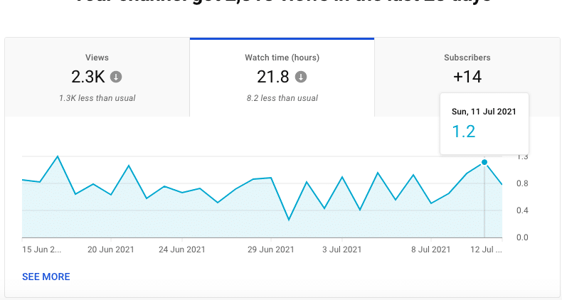 Watch time metrics