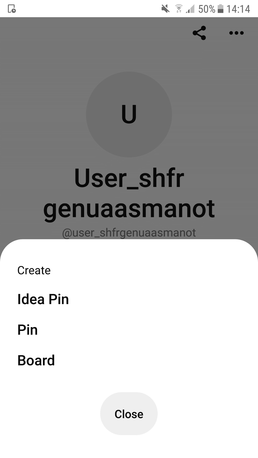 Idea Pin